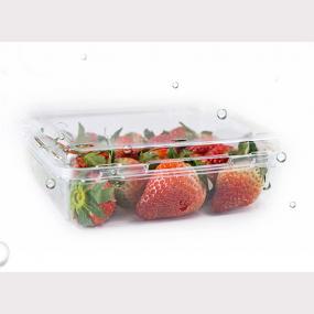 Square strawberry container