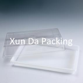 Disposable salsd tray