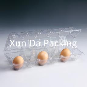10pcs clear  plastic egg tray