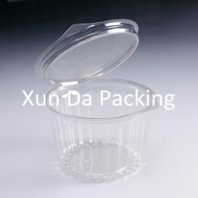 Clear plastic hamburg packaging box