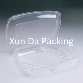 Disposable plastic clear food container