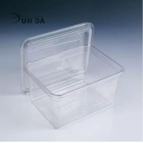 Clear PET Plastic Clamshell Rectangular Food Box with Lid
