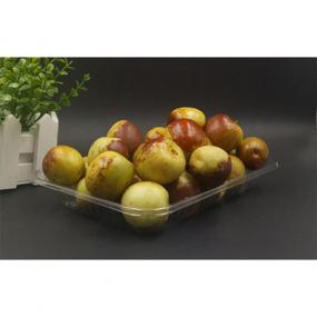 Rectangular fruit & vegetable shallow tray