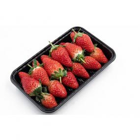 Fruit tray02