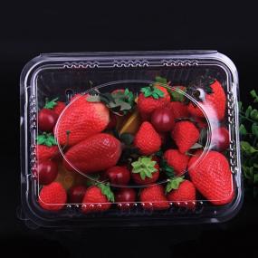 Strawberry container