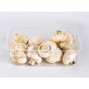 Mushroom punnets