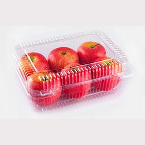 Large fruit & vegetable container