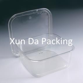 Clear plastic food box