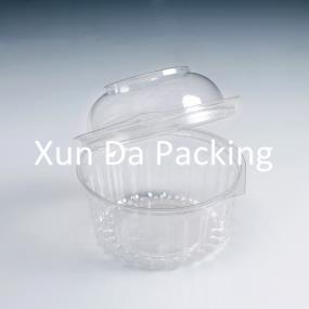 Clear plastic hamburg packaging box