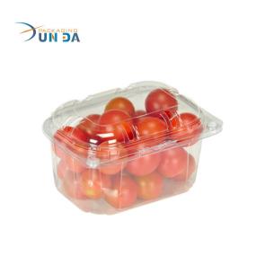 Durable Fruits Packaging Transparent PET Large Plastic Box With Cover